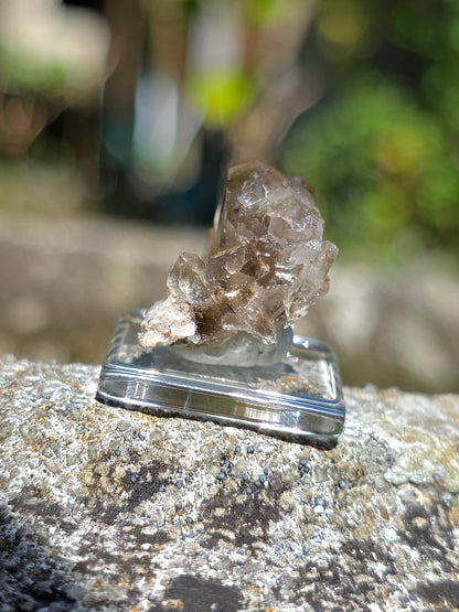 Quartz à âme fumé d'Arrens dans les Hautes-Pyrénées