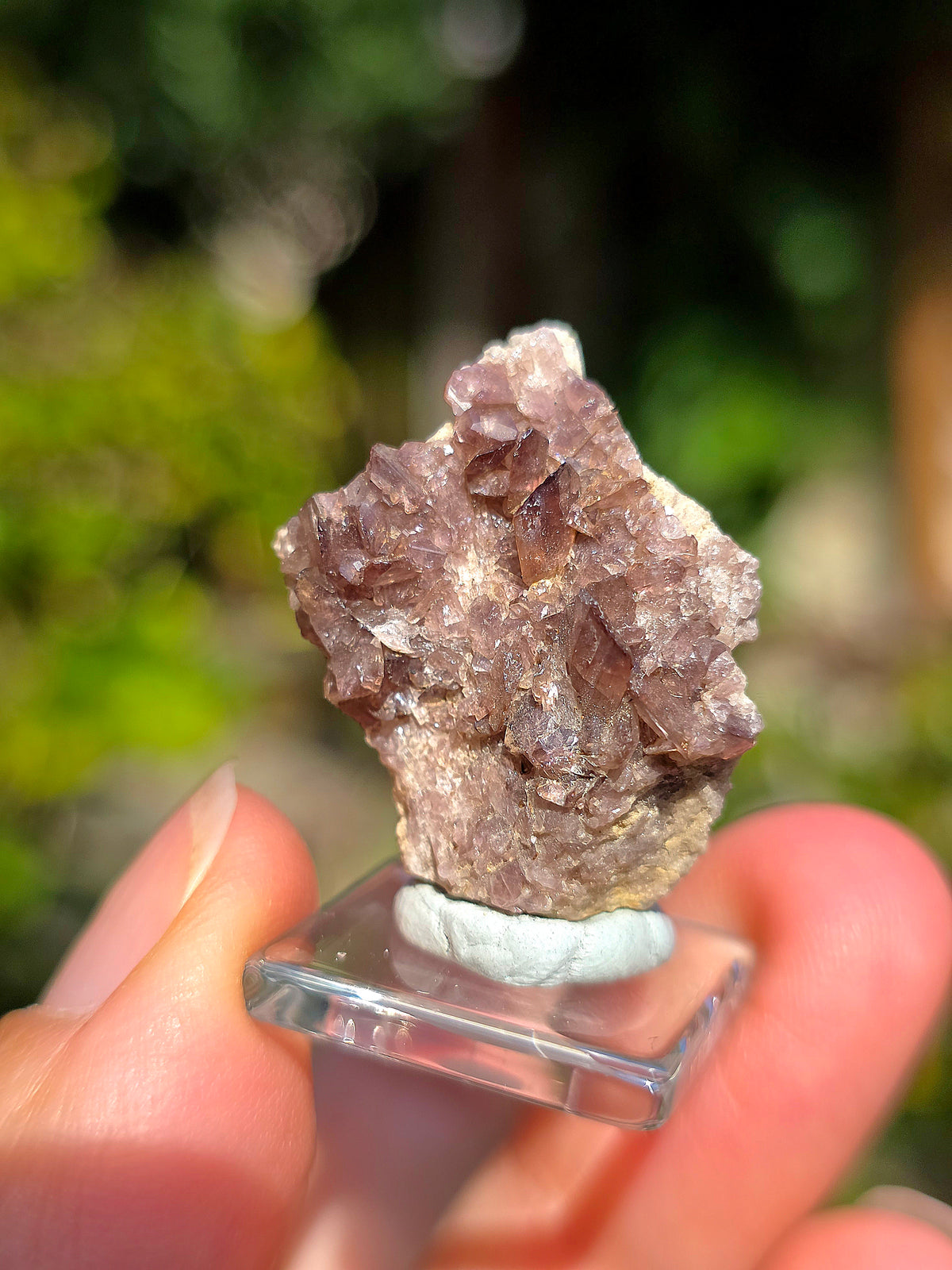 Axinite de Barèges, Pyrénées, France