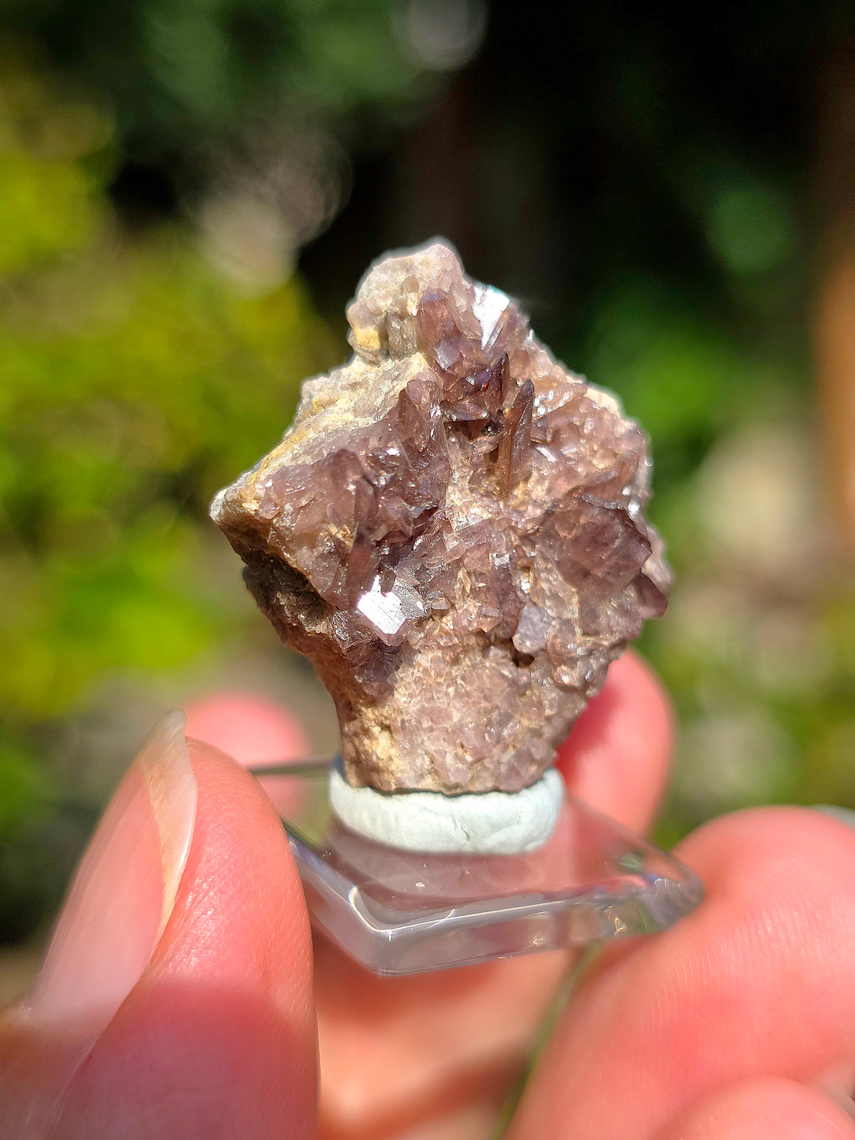 Axinite de Barèges, Pyrénées, France