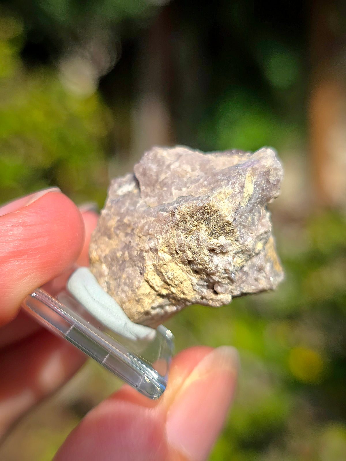 Axinite de Barèges, Pyrénées, France