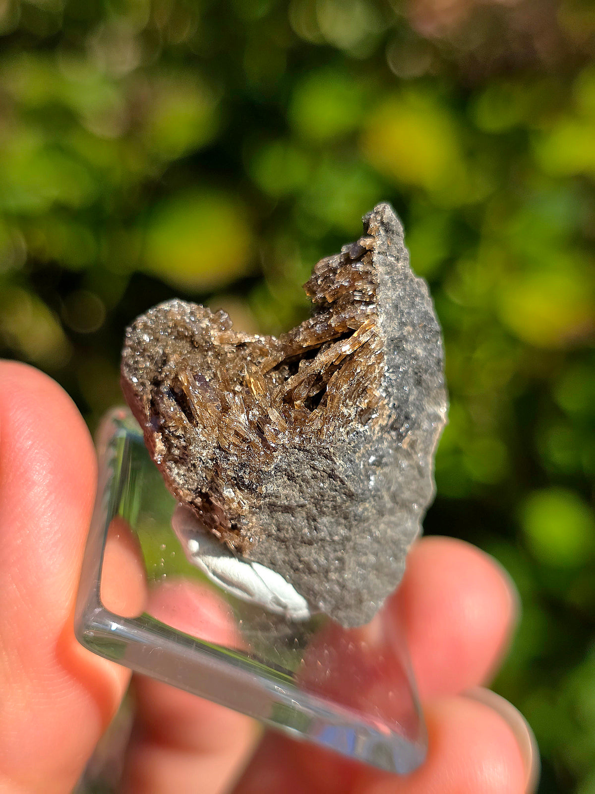 Petite Baryte dans de la Septaria française sur socle