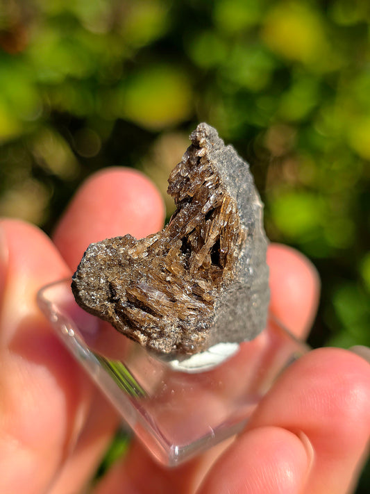 Petite Baryte dans de la Septaria française sur socle