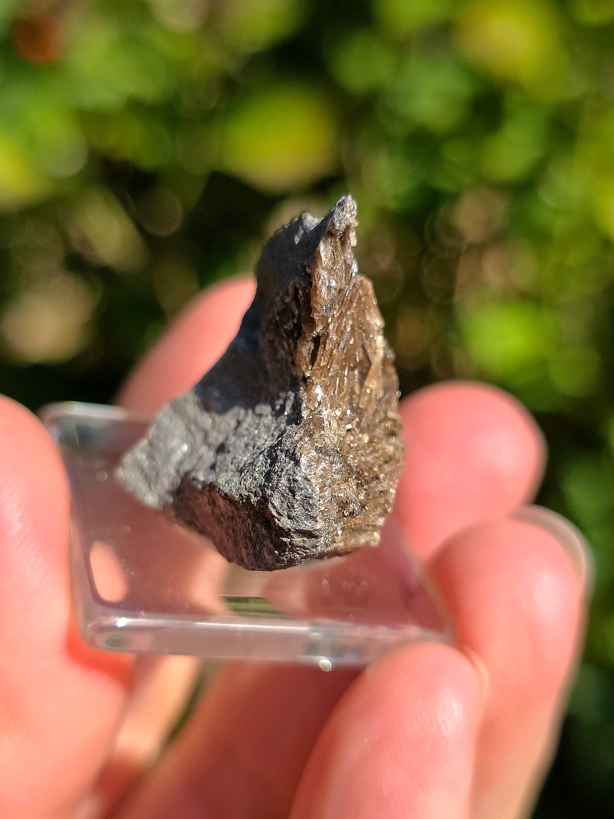 Petite Baryte dans de la Septaria française sur socle