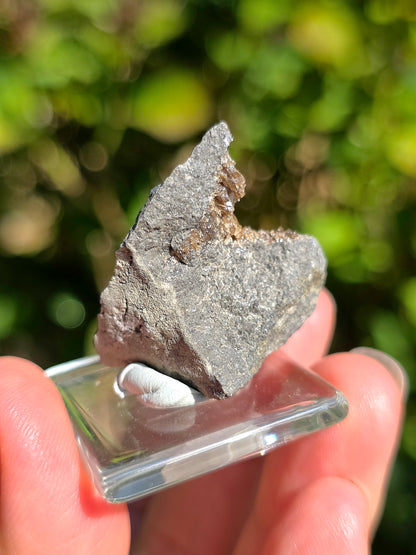 Petite Baryte dans de la Septaria française sur socle