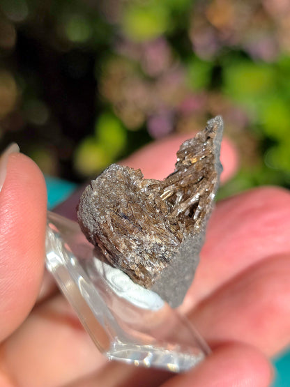 Petite Baryte dans de la Septaria française sur socle