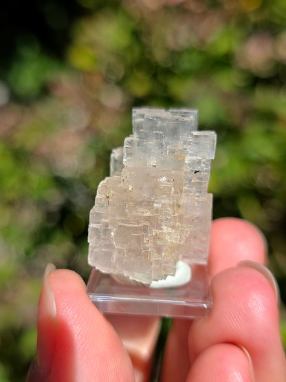 Halite espagnole réactive aux UV
