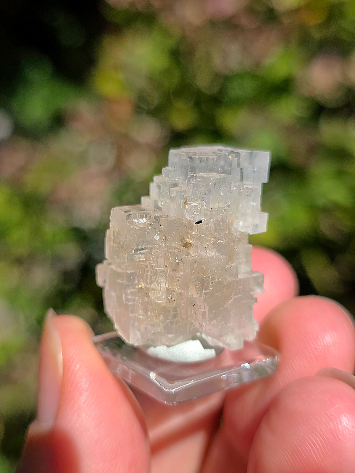 Halite espagnole réactive aux UV