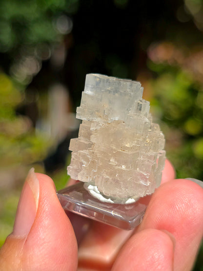Halite espagnole réactive aux UV