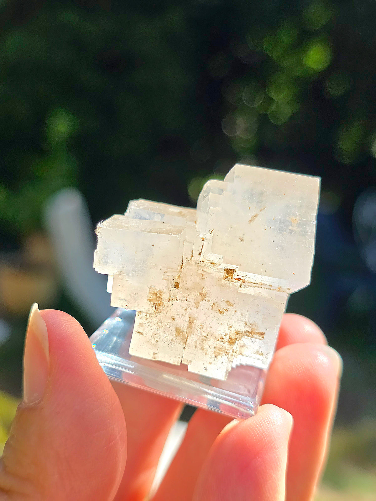 Superbe Halite espagnole réactive aux UV courts