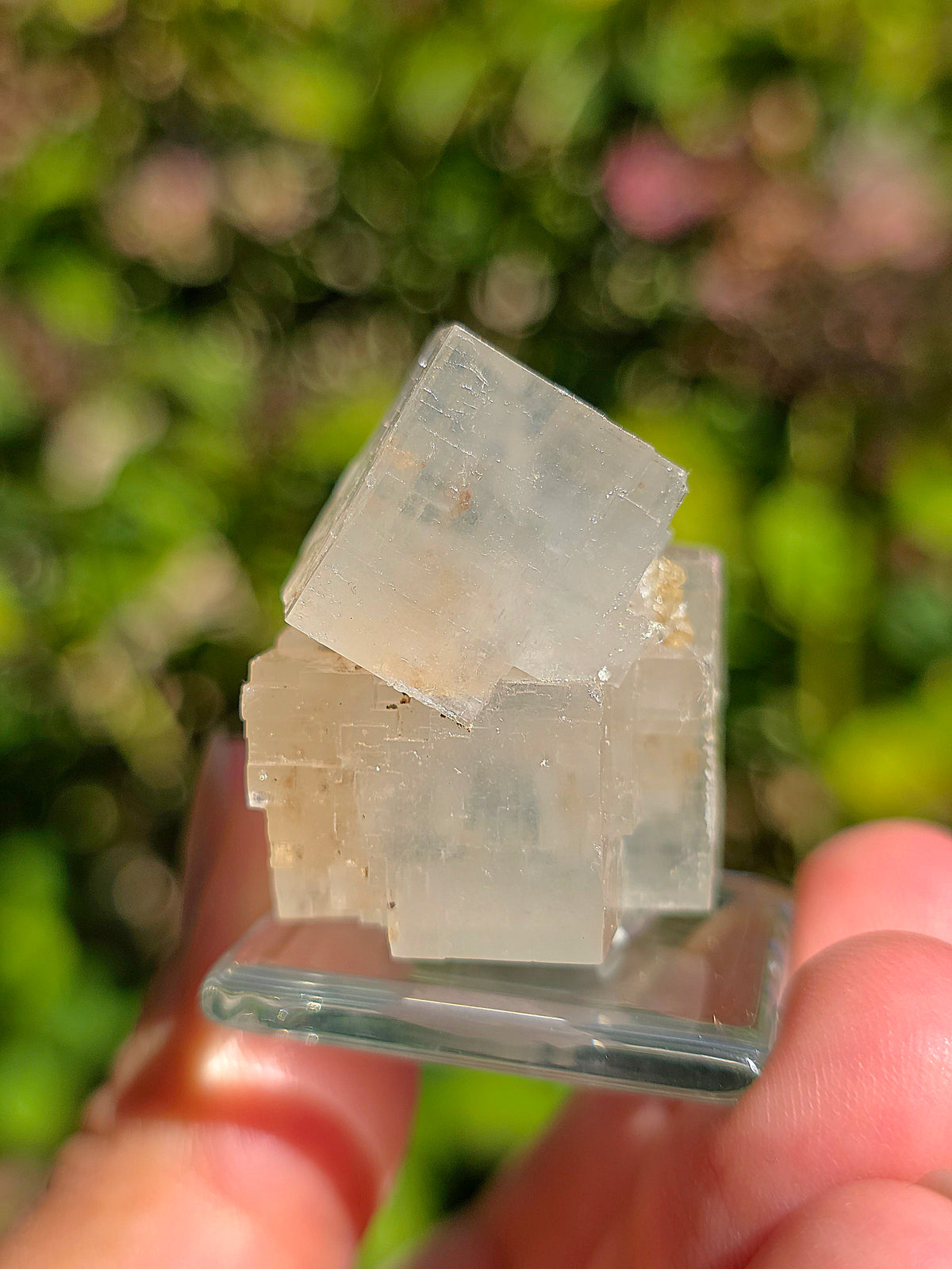 Superbe Halite espagnole réactive aux UV courts