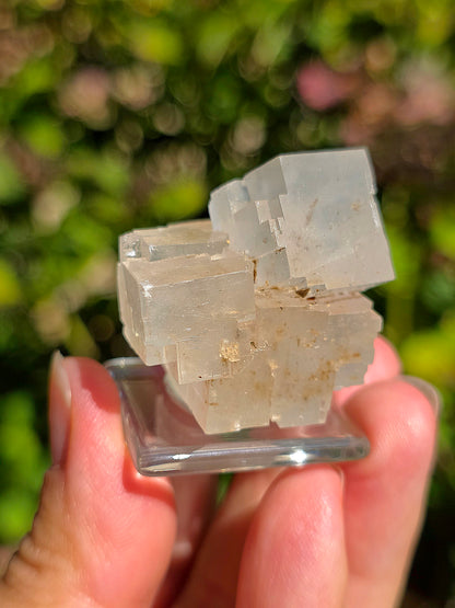 Superbe Halite espagnole réactive aux UV courts