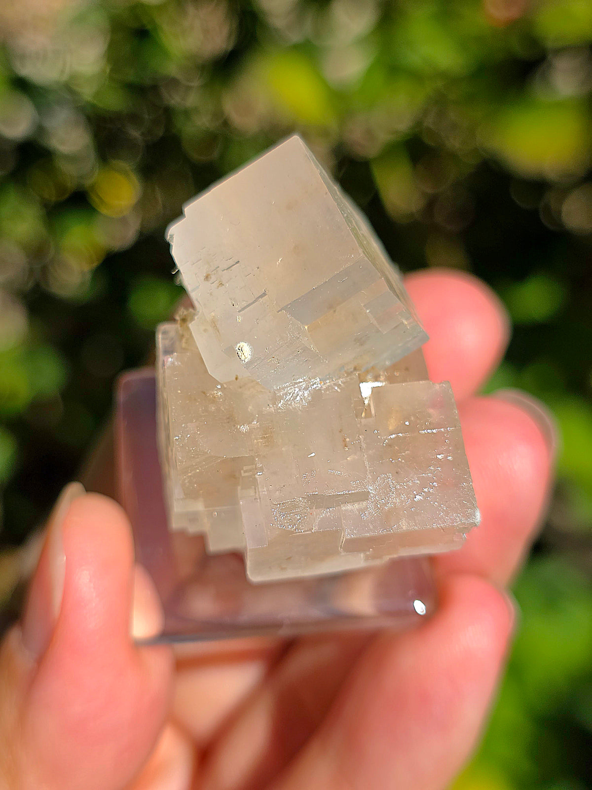 Superbe Halite espagnole réactive aux UV courts