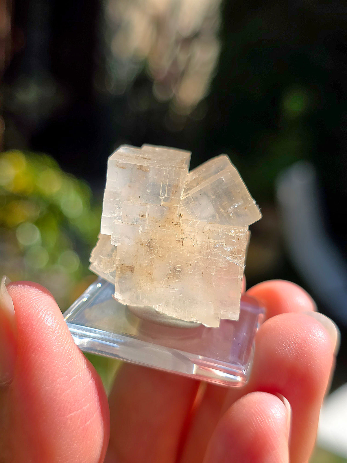 Halite espagnole réactive aux UV