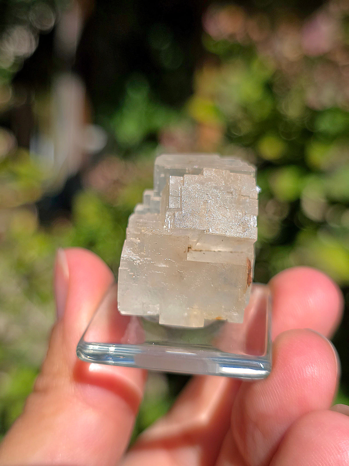 Halite espagnole réactive aux UV
