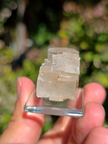 Halite espagnole réactive aux UV