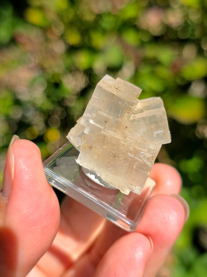 Halite espagnole réactive aux UV