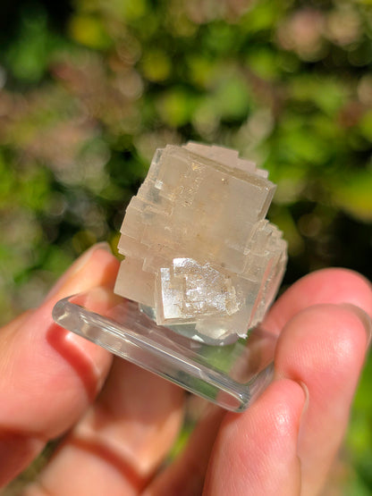 Halite espagnole réactive aux UV