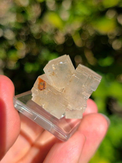 Halite espagnole réactive aux UV