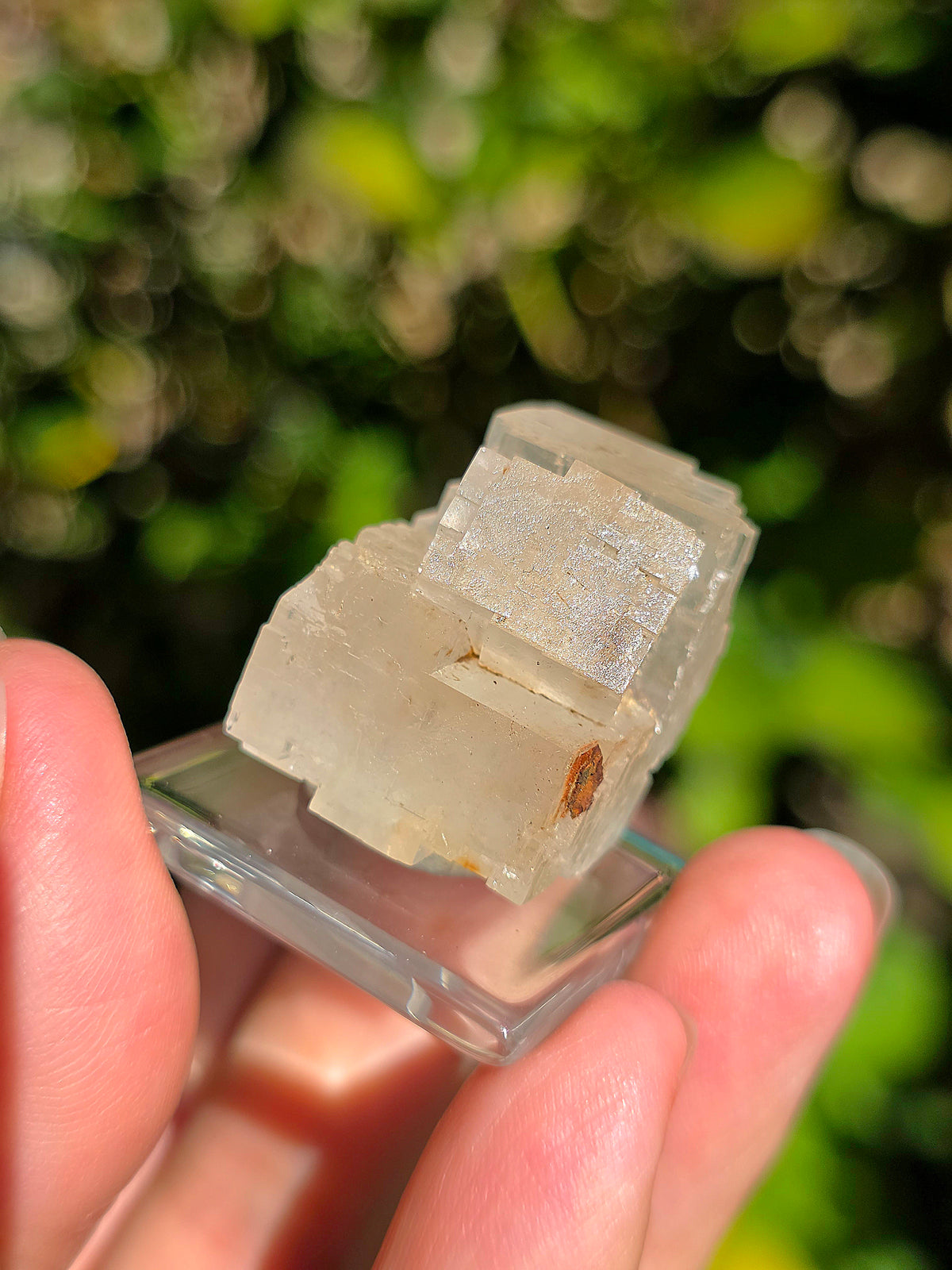 Halite espagnole réactive aux UV