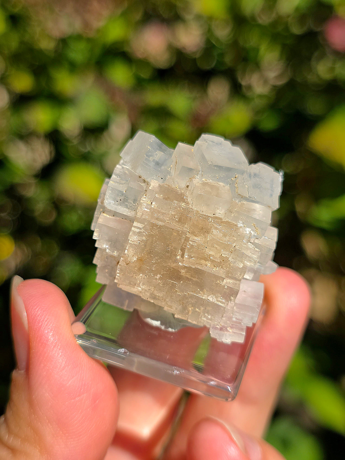 Halite espagnole réactive aux UV courts