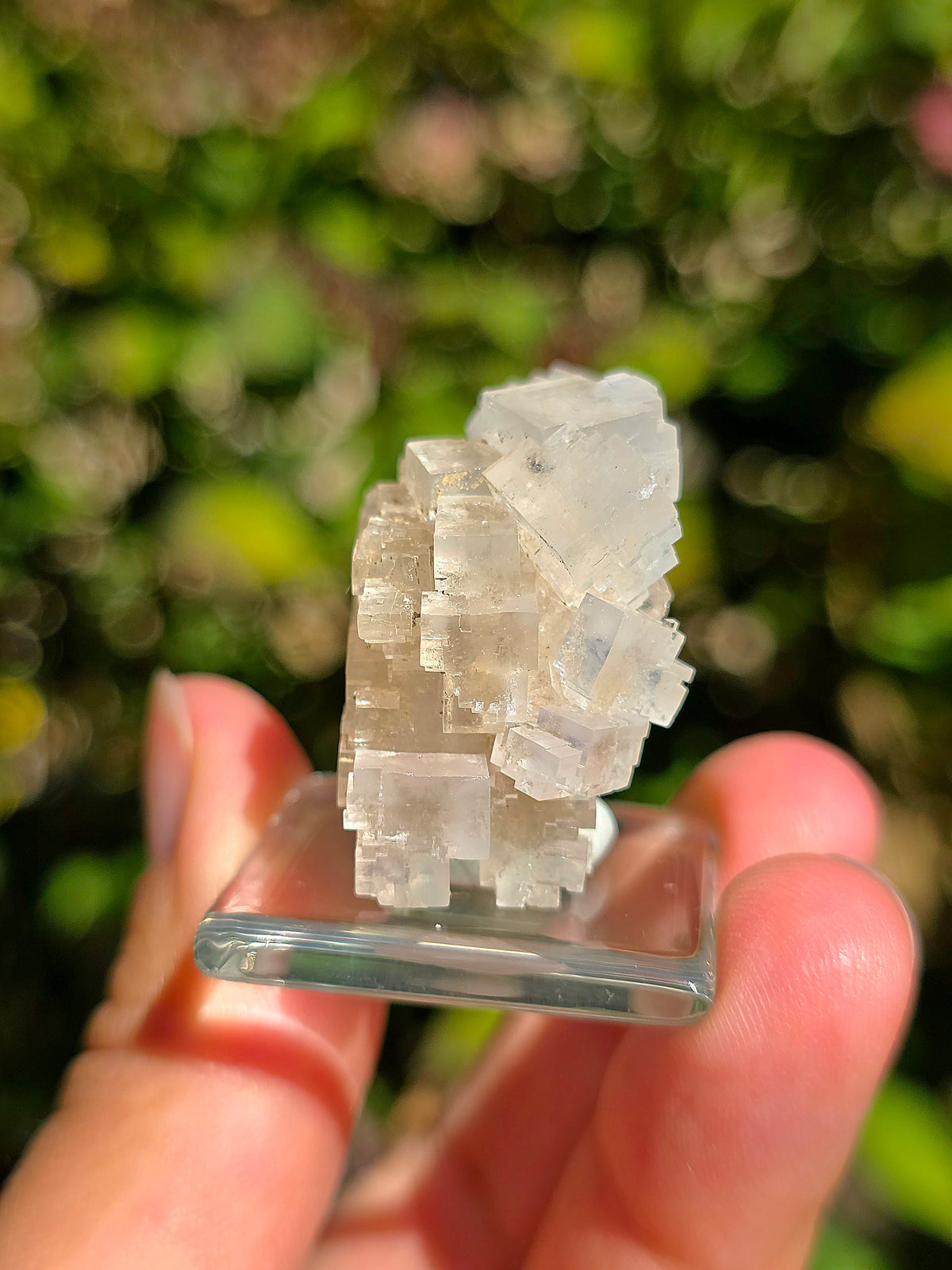 Halite espagnole réactive aux UV courts