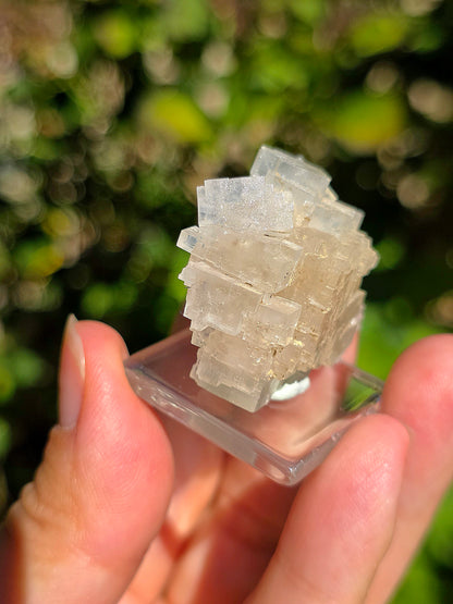 Halite espagnole réactive aux UV courts