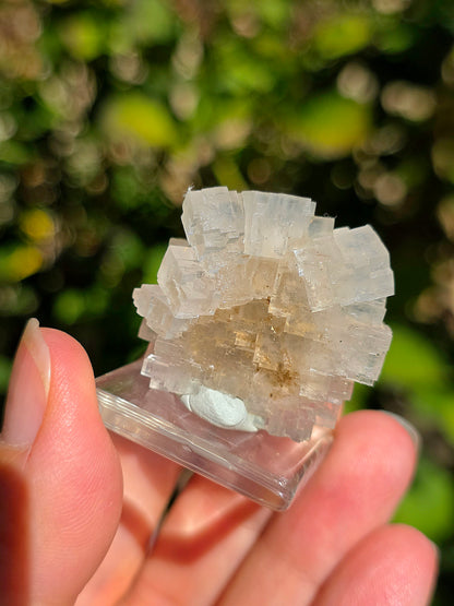 Halite espagnole réactive aux UV courts
