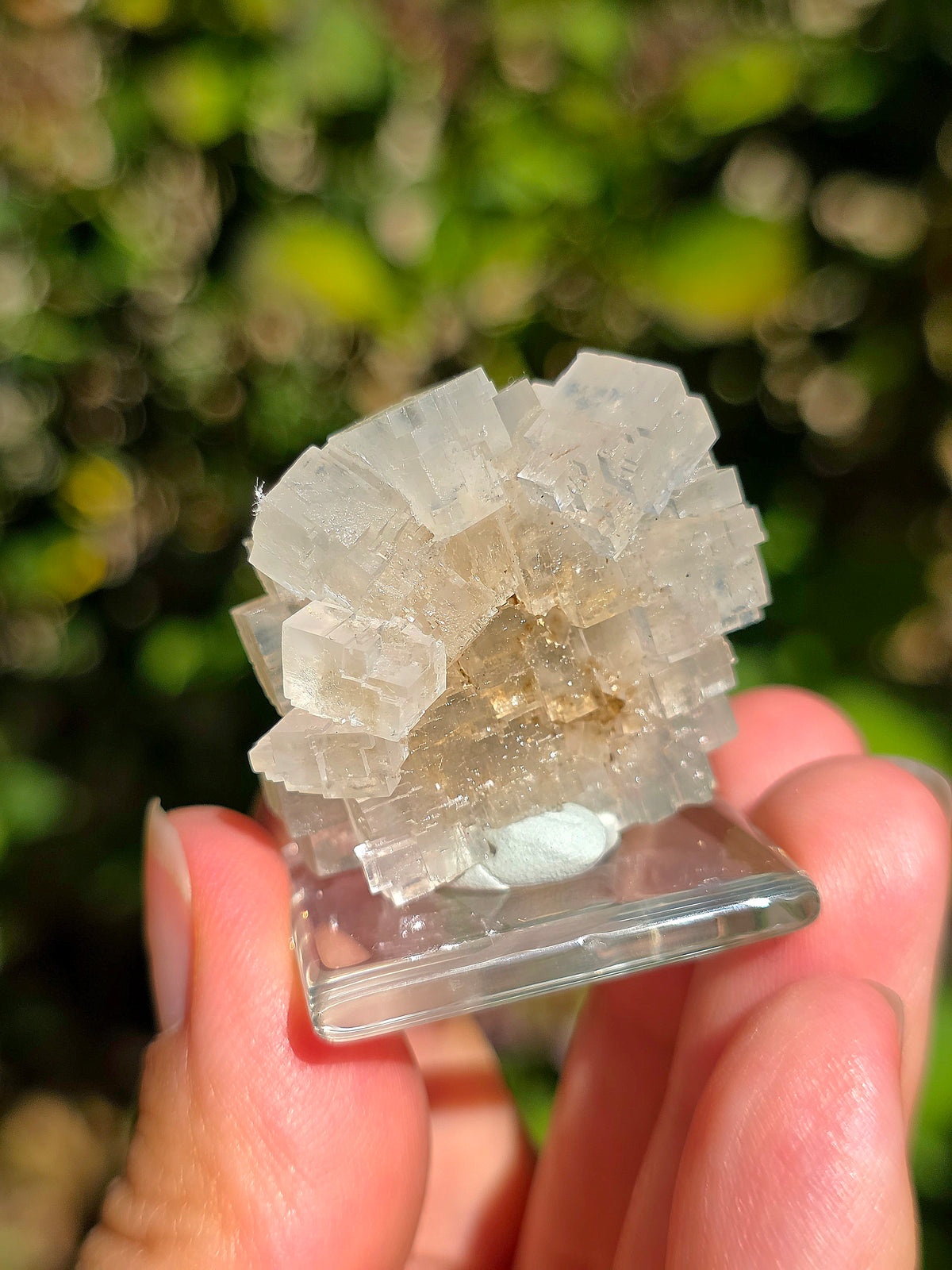 Halite espagnole réactive aux UV courts