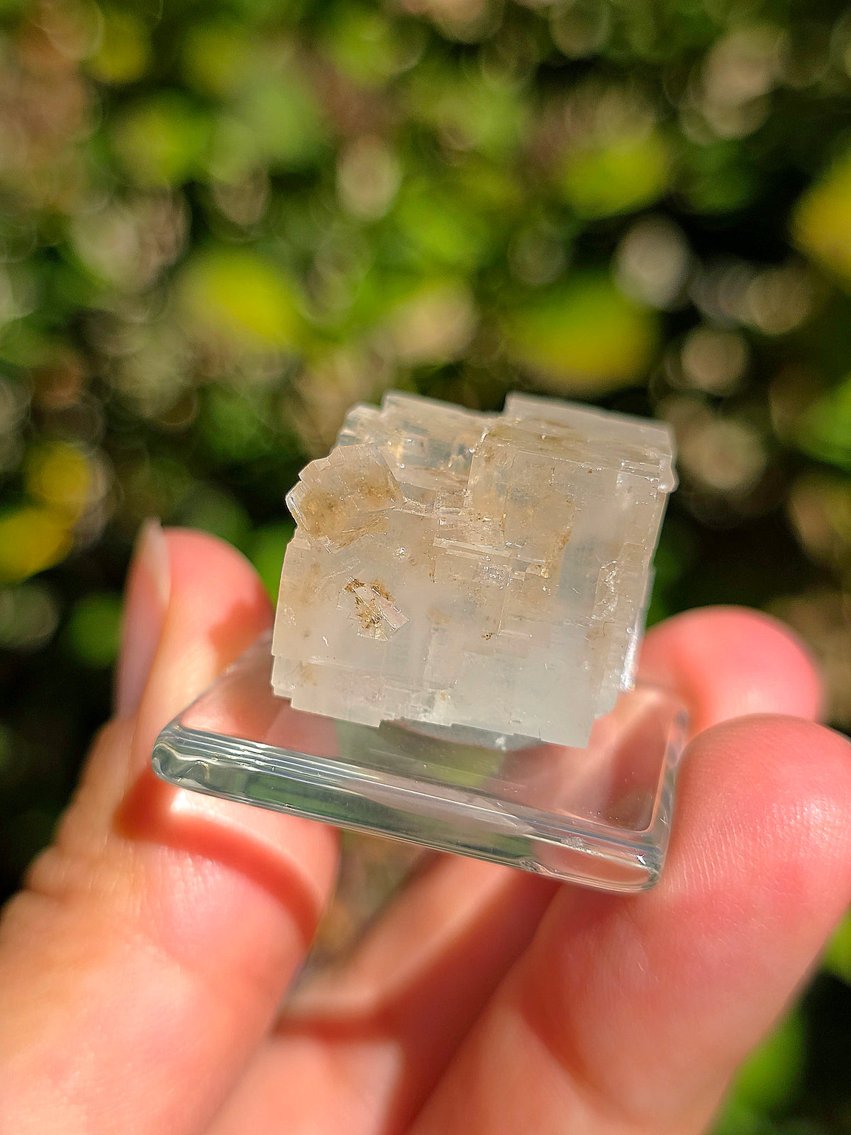 Halite espagnole réactive aux UV