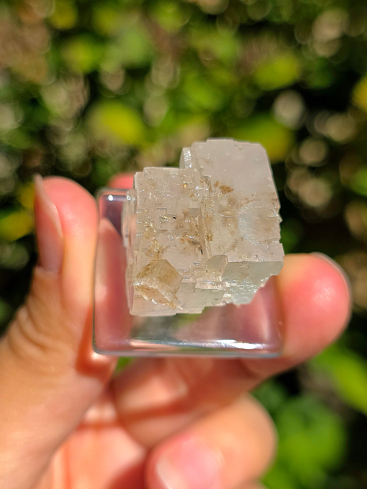 Halite espagnole réactive aux UV sur socle