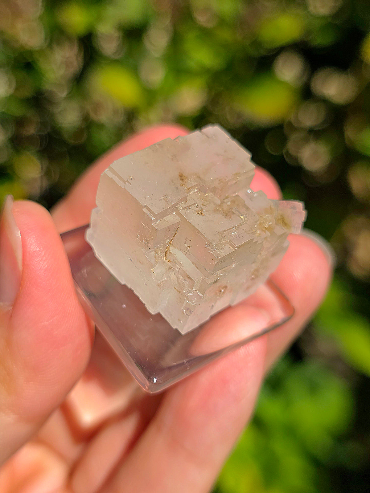 Halite espagnole réactive aux UV