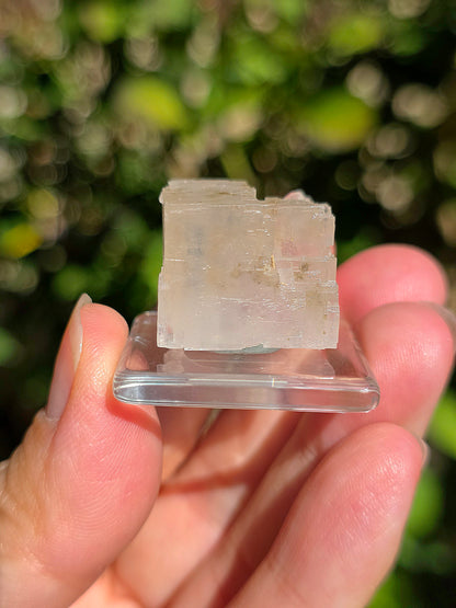 Halite espagnole réactive aux UV