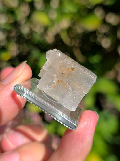 Halite espagnole réactive aux UV