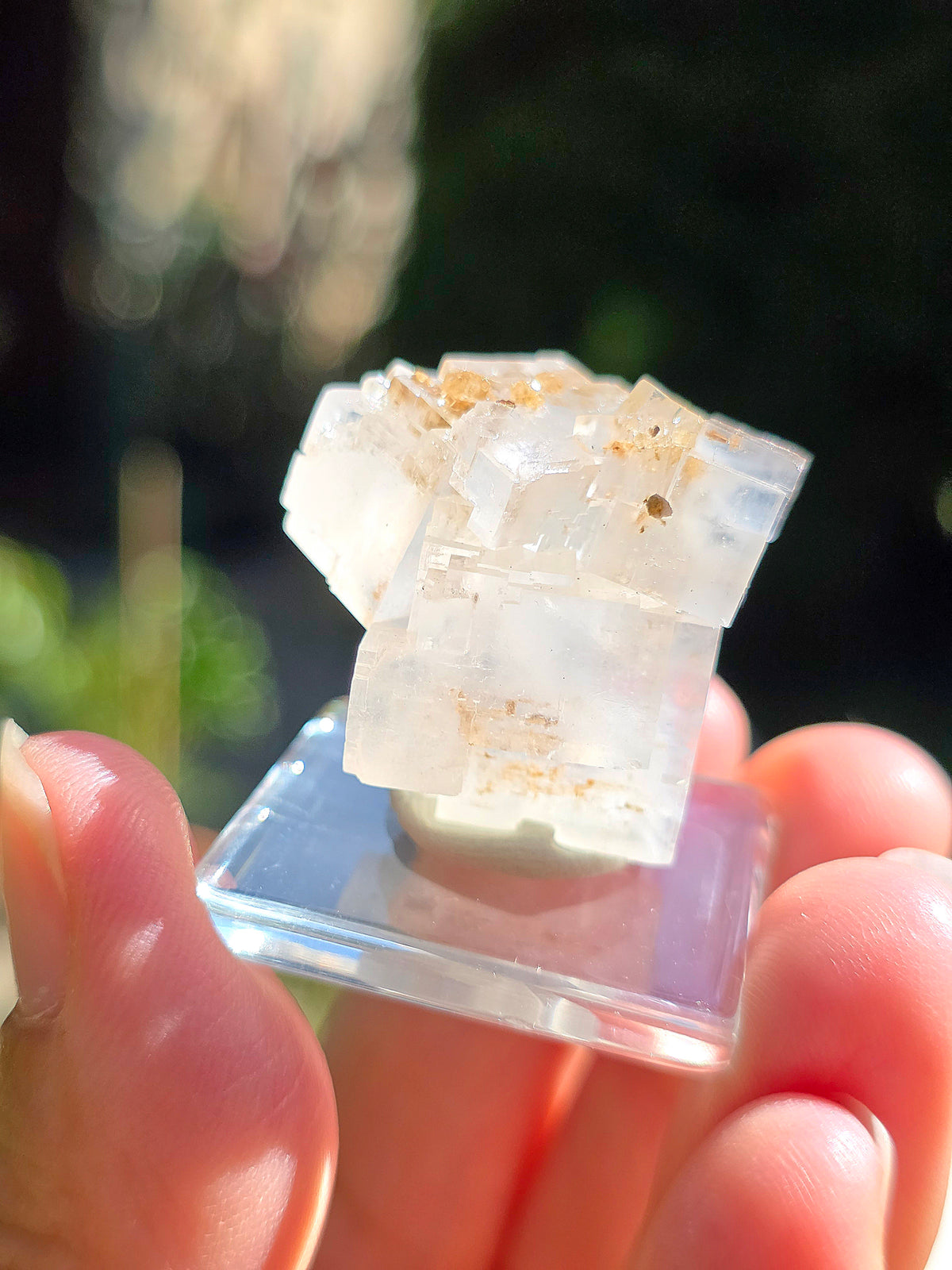 Halite espagnole réactive aux UV sur socle
