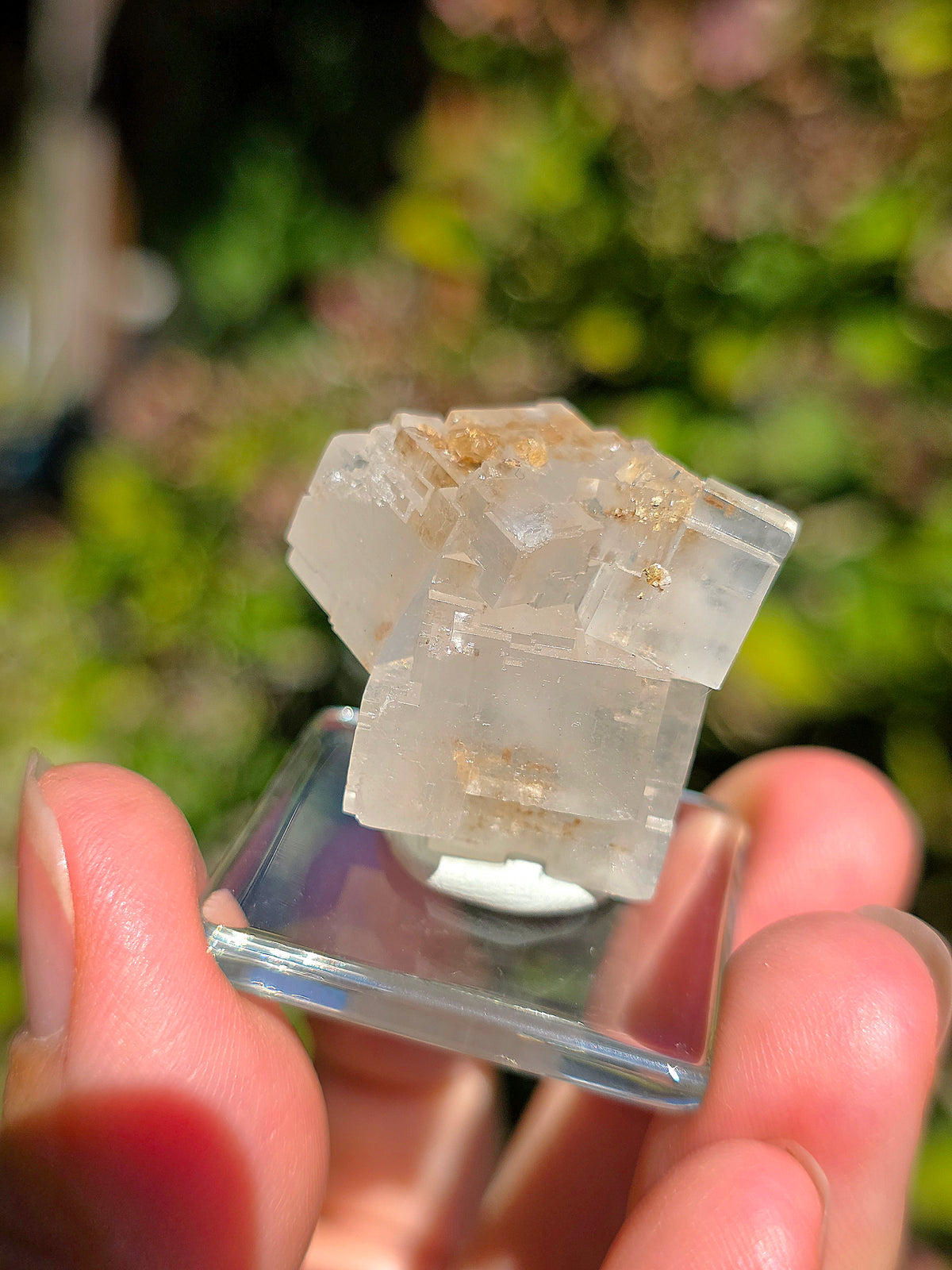Halite espagnole réactive aux UV sur socle