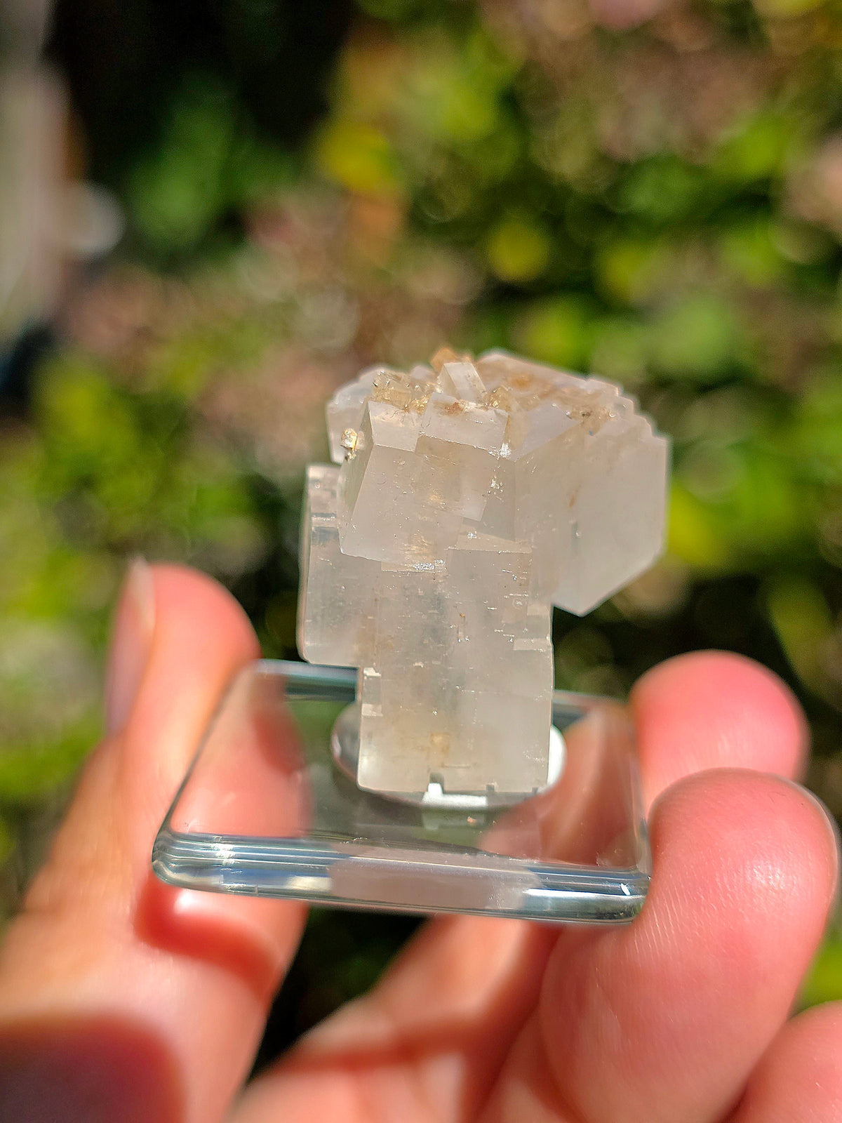 Halite espagnole réactive aux UV sur socle