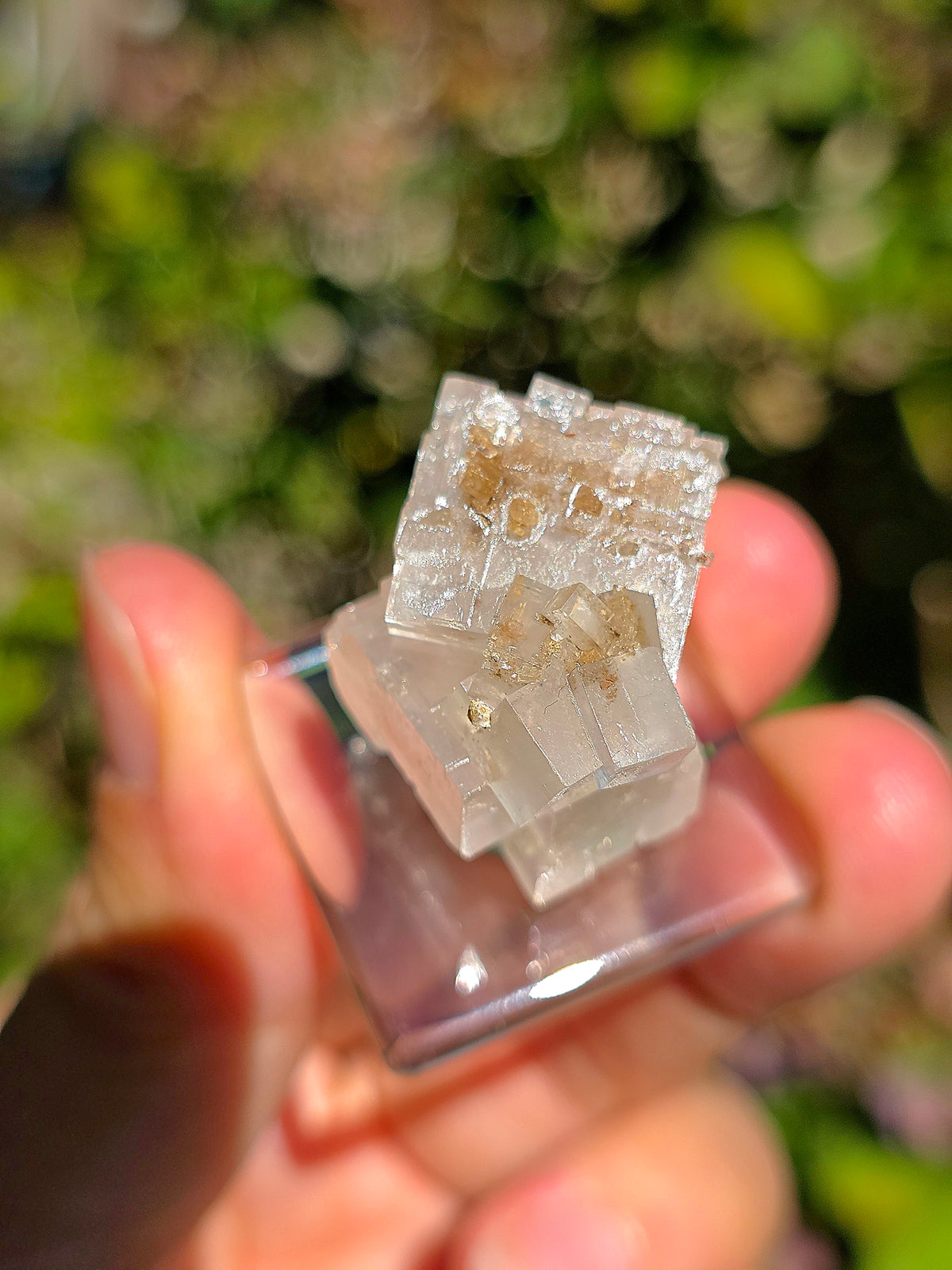 Halite espagnole réactive aux UV sur socle