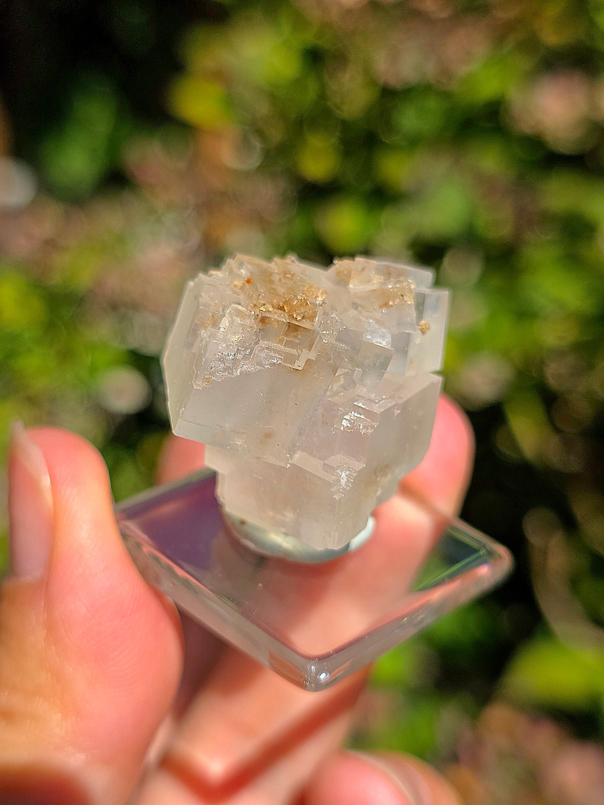 Halite espagnole réactive aux UV sur socle