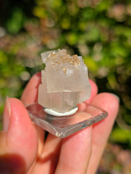 Halite espagnole réactive aux UV sur socle