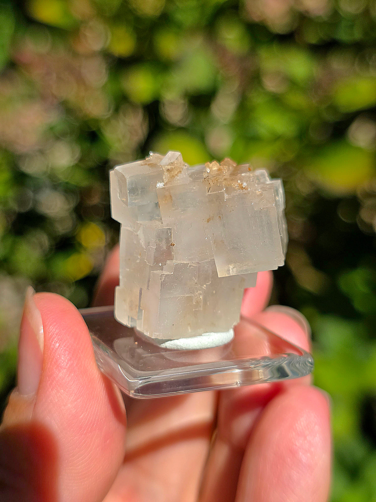 Halite espagnole réactive aux UV sur socle