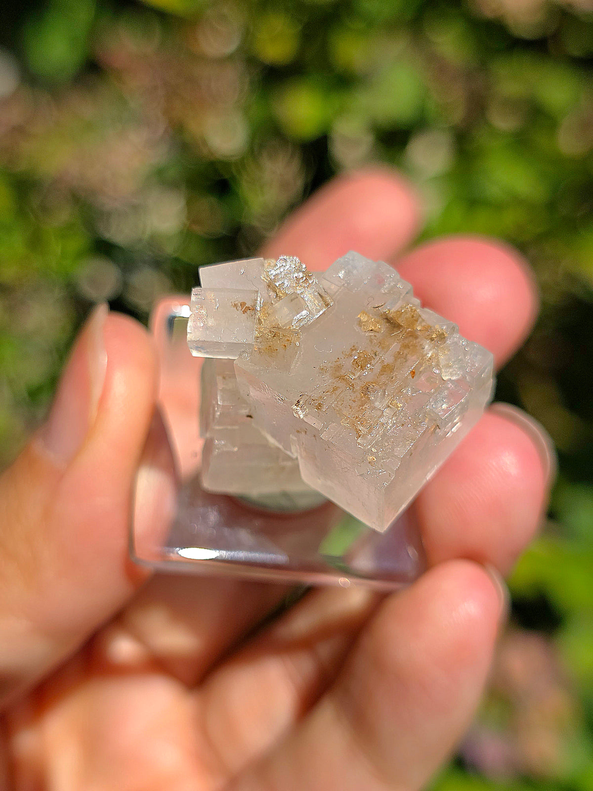 Halite espagnole réactive aux UV sur socle