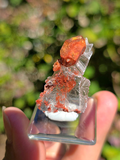  Quartz Hyacinthe sur Gypse d'Espagne