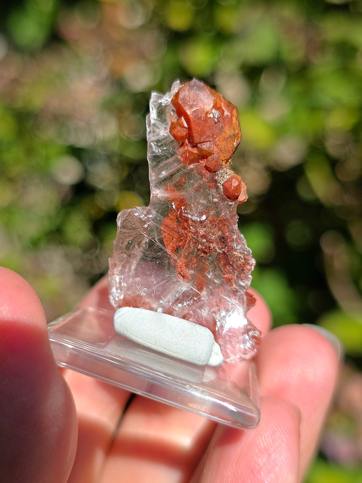  Quartz Hyacinthe sur Gypse de Compostelle