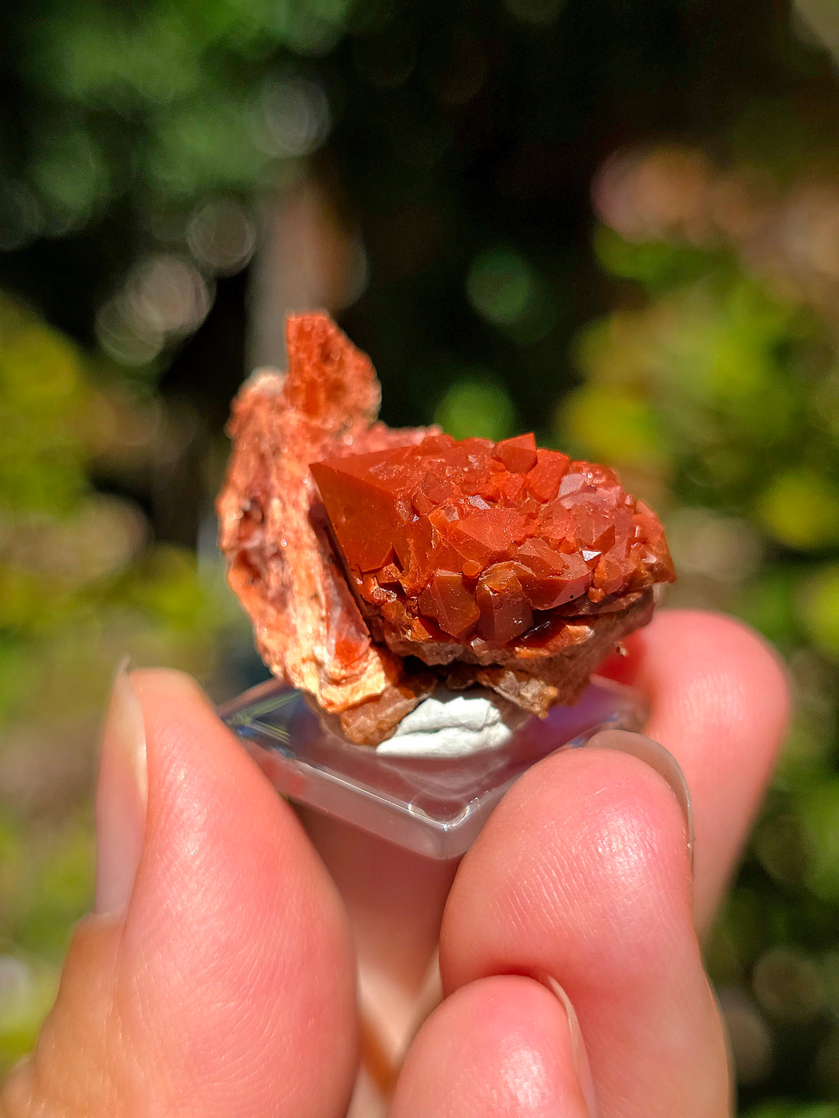 Quartz Hyacinthe sur Gypse de Compostelle