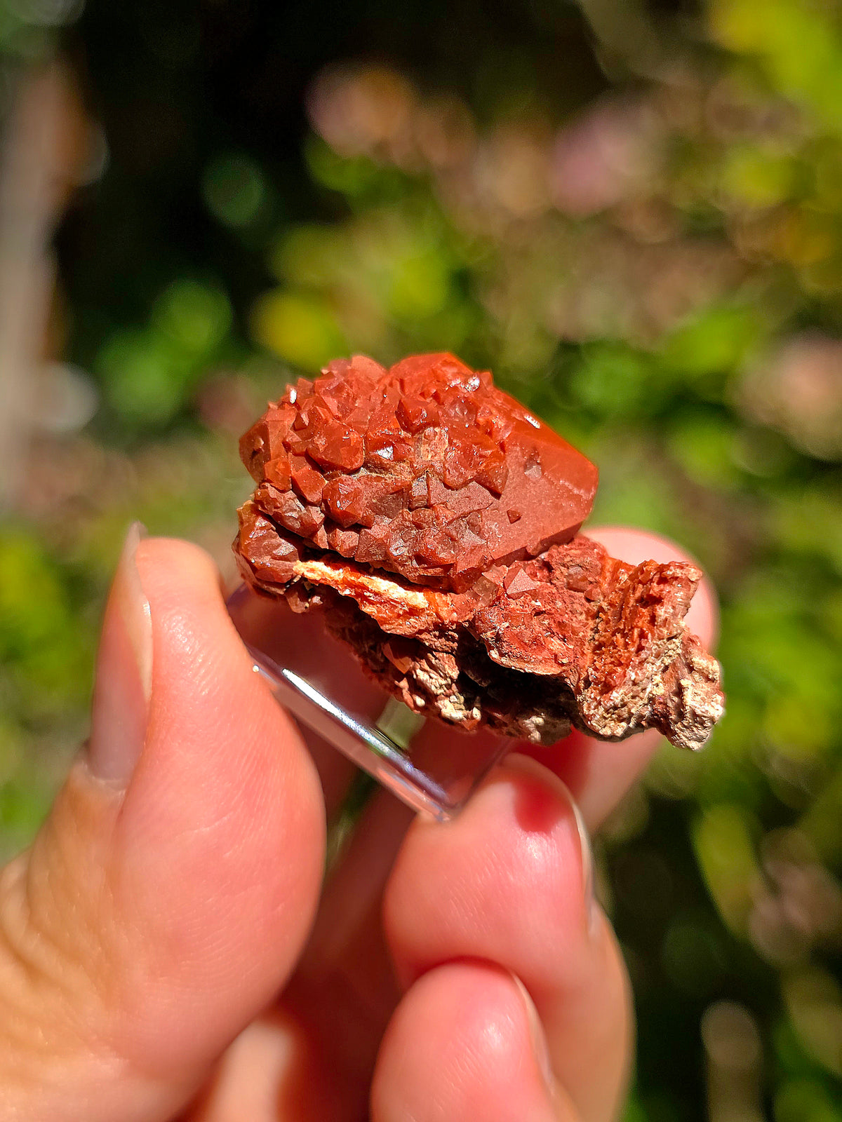 Quartz Hyacinthe sur Gypse d'Espagne