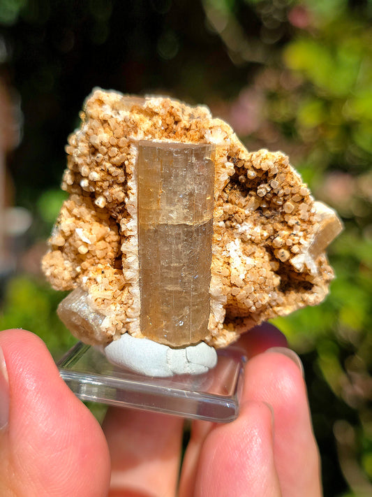 Apatite avec inclusions d'Epidote, Actinolite,Stilbite, Arfvedsonite du Maroc.