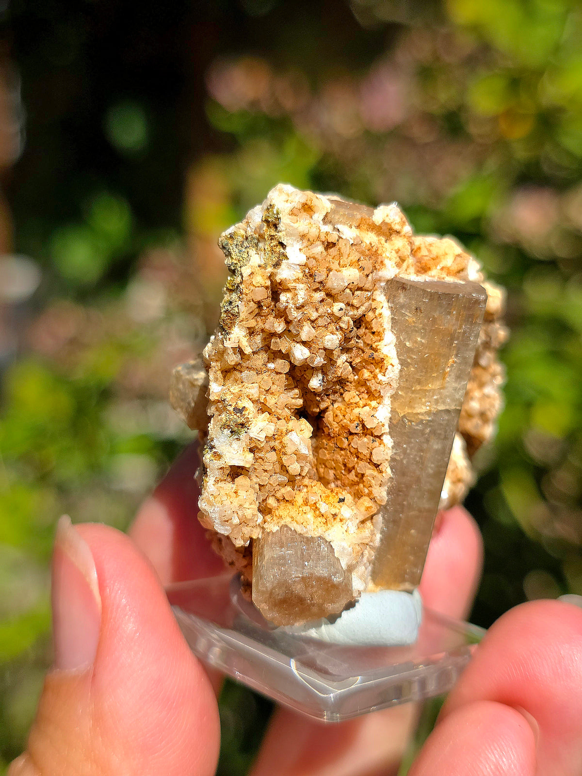 Apatite avec inclusions d'Epidote, Actinolite,Stilbite, Arfvedsonite du Maroc.