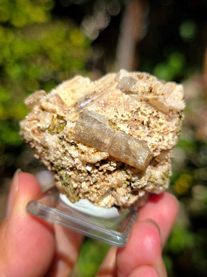 Apatite avec inclusions d'Epidote, Actinolite,Stilbite, Arfvedsonite du Maroc.
