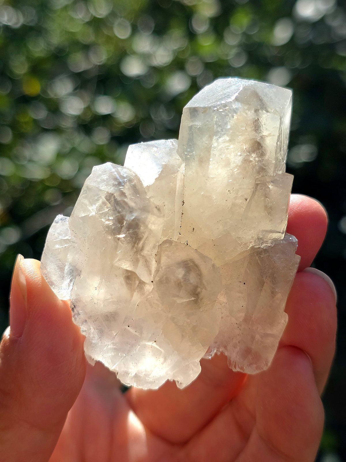 Calcite miel avec fantôme brute des Pyrénées