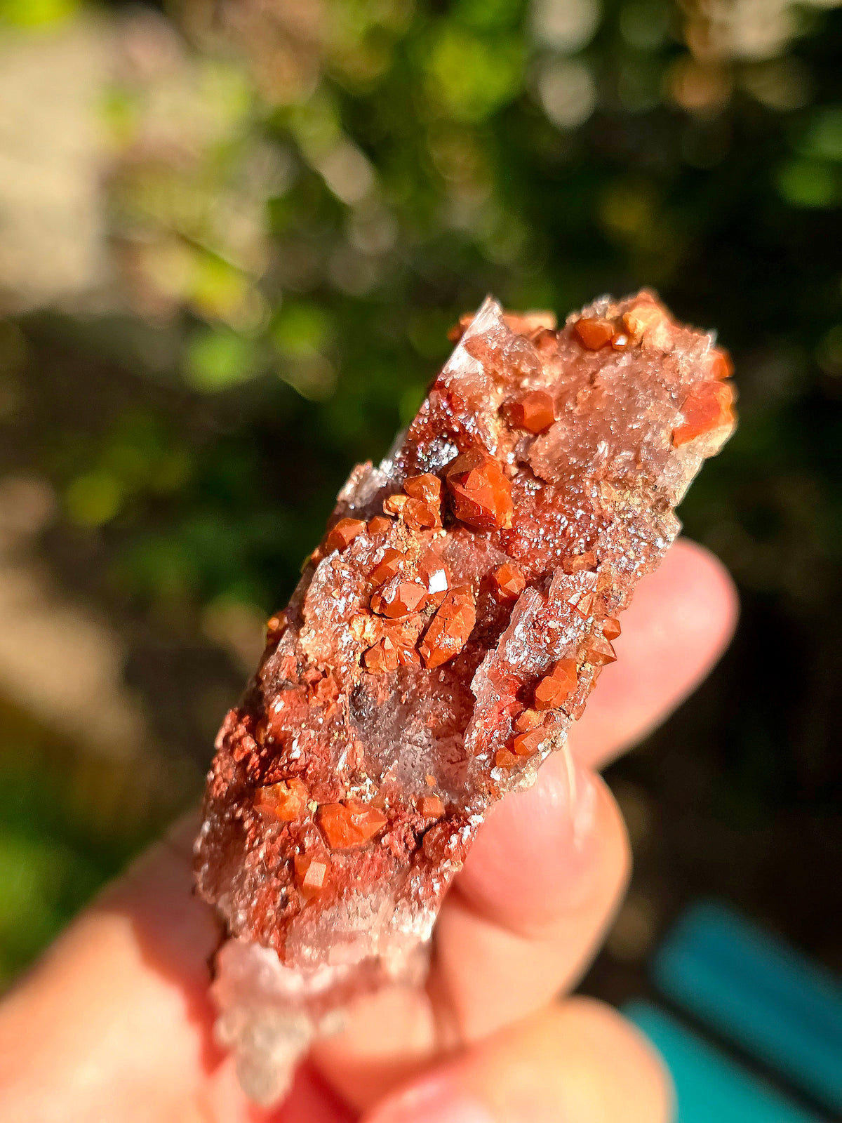 Quartz Hyacinthe (hématoïde) sur Gypse d'Espagne